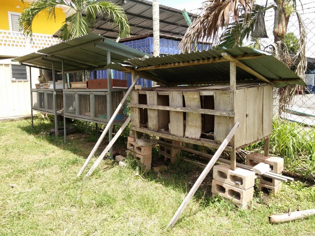 Harum Manis Country House Kangar Exterior foto